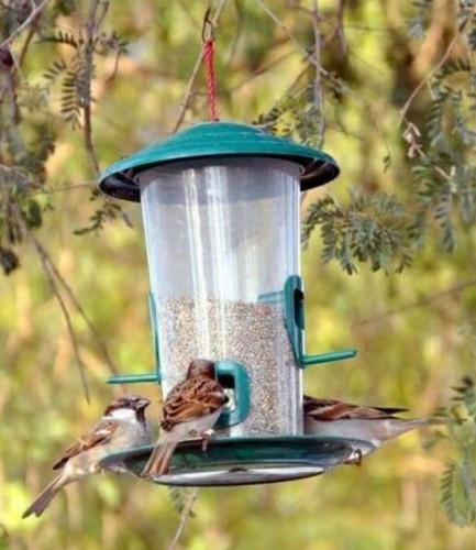 Buy Bird Feeder With Hut Medium Code C528822 Online From Fabricss